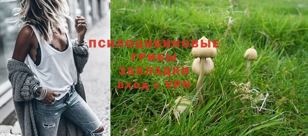 спайс Алзамай