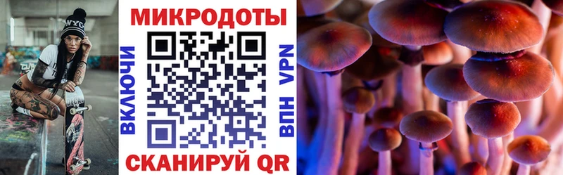 blacksprut зеркало  Тында  Псилоцибиновые грибы MAGIC MUSHROOMS  как найти наркотики 